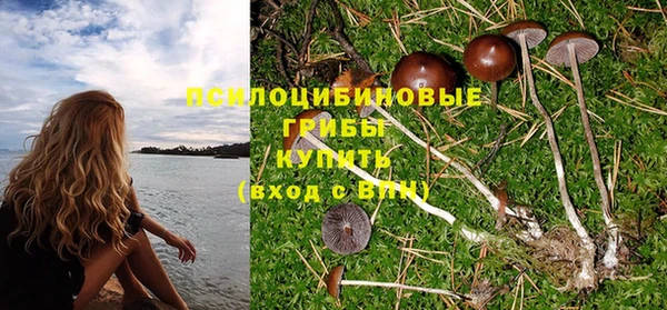 гашик Липки