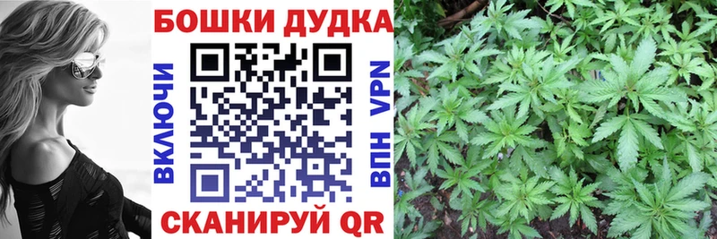 Канабис MAZAR Дно